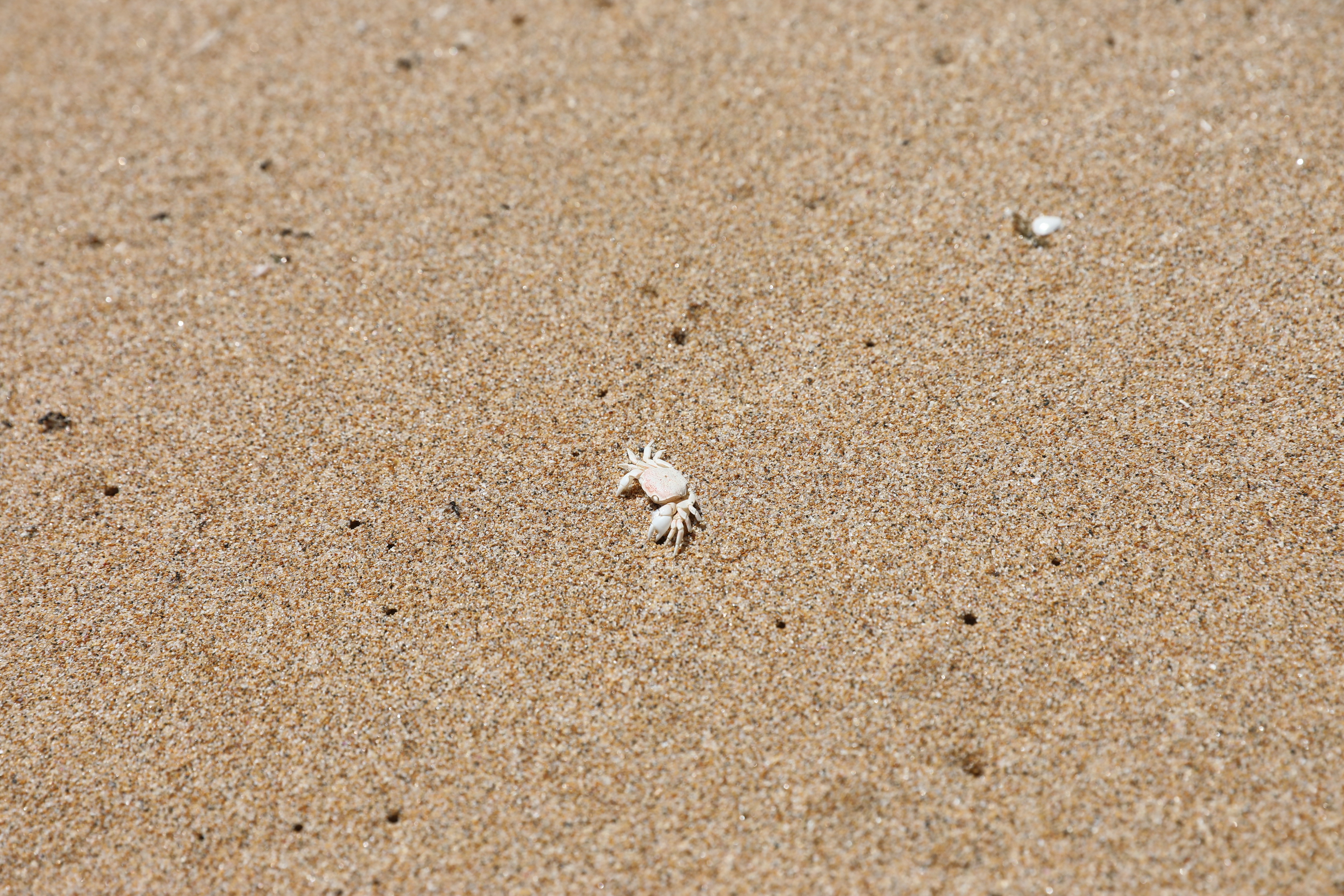 2019 12 19 14 47 40 Canon EOS 5D Mark IV 0043